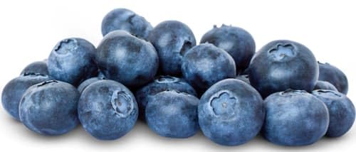 BIO Heidelbeeren (0.12 kg)