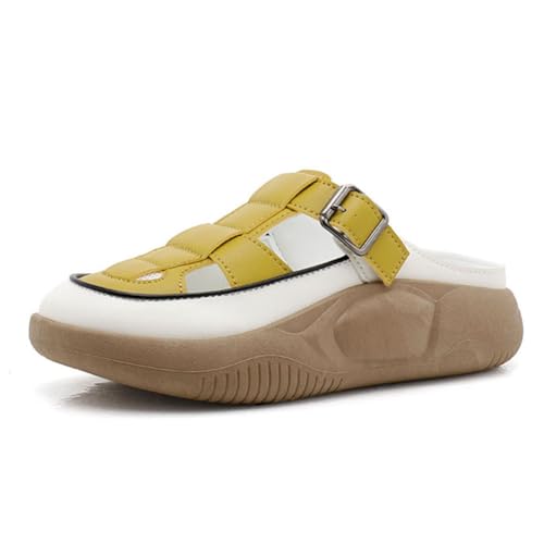 [mxcgzl] T_ fB[X D^T_ X|T X|[cT_  ƂȂ ₷ ɂ y r ܐ悠 JWA O   ؍ ʋ ʊw s (CG[, 24.5 cm)