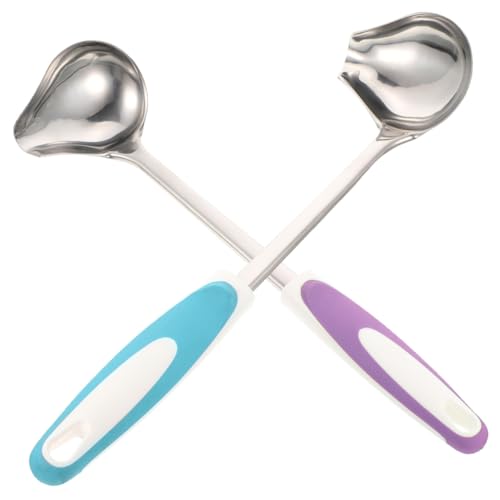 DOITOOL 2 pezzi Cucchiaio da Salsa in Acciaio con Beccuccio Scivolo Cucchiaio per Condimenti e Insalate Manico Ergonomico per Cucina Domestica e Ristorante Colori e Blu