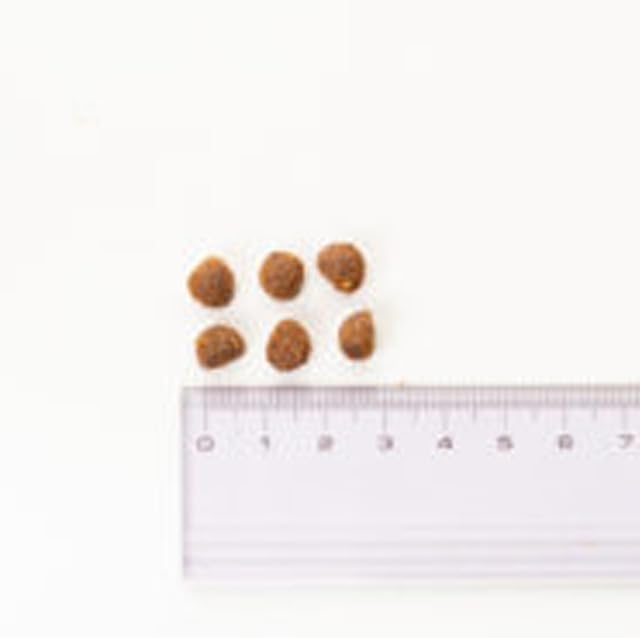 ブリット Brit プレミアムｂｙネイチャー ジュニア S 8kg 【正規品】【プレゼント付きtn】