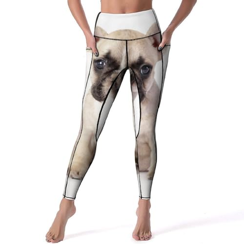Legging yoga taille haute pour femmes legging sport fitness imprimé chien taille S