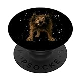 Wet Dog s Funny Shaking Dog Art