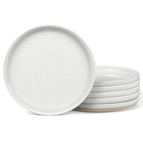 Image of LIANYU Stoneware Dinner Plates Set of 6, 10.5 Inch Large Ceramic Salad Plates for Kitchen, Porcelain Round Serving Dishes Set, Oven, Microwave & Dishwasher Safe, Scratch Resistant, Snowy White
