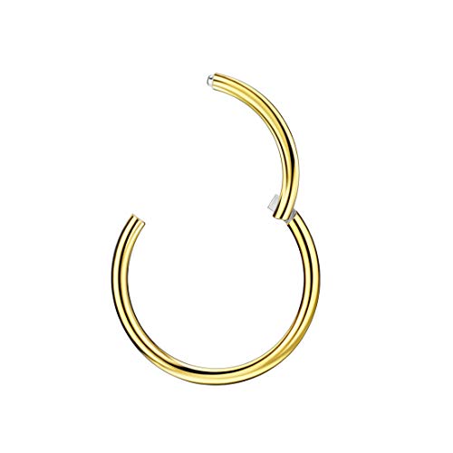 20 Gauge 8Mm Hoop Nose Rings For Women Men Gold Plated Nose Ring Hoop Surgical Steel Nose Hoop Hypoallergenic Body Piercing Rings For Septum Cartilage Helix Conch Rook Tragus Lobe Lip 20G 8Mm Hoop #TOP2