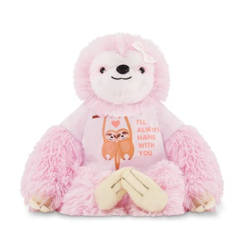 Why The Pink Sloth Is The Best Stuffed Animal