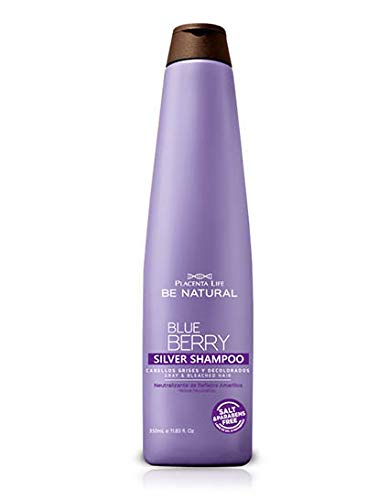 Be Natural - Champú Plata Blueberry - 350 ml - 1 unidad