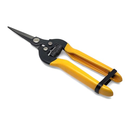 FAST WORLD SHOPPING – Forbice da Giardinaggio, Forbici Potatura di Precisione 7 Pollici in Acciaio, per una Potatura Facile per Fiori, Piante, Bonsai e Orto, Uso Professionale e Fai da Te