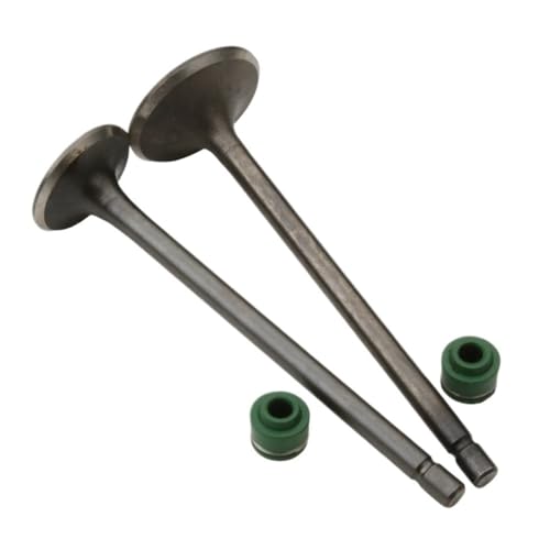 Motorcycle 2PC Intake And Valves compatible H CG110 CG125 CB125J CB125S XL125 14711-383-000 14721383000 4-Stroke Engine