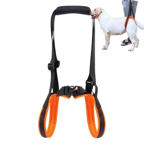 Hundegeschirr zum Heben – Mesh + Polyester, verstellbar, Reha-Geschirr, leichte Hunde-Mobilitätshilfe, bequeme Unterstützung für Spaziergänge, Erholung, Zuhause und Outdoor – Bild 8