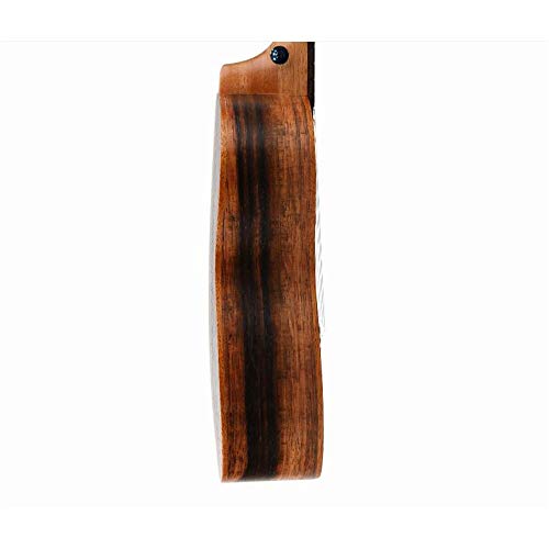 Ukulele 23 Pouces Bois d’Ebène Carbone Cordes Ukulele Uke Hawaii Enfants Petite Guitare avec Sac Gig for Les Enfants… - Les Beatles, Paul McCartney, John Lennon, RIngo Starr, George Harrison Ukulele 23 Pouces Bois d'Ebène Carbone Cordes Ukulele Uke Hawaii Enfants Petite Guitare avec Sac Gig for Les Enfants… – Image 6