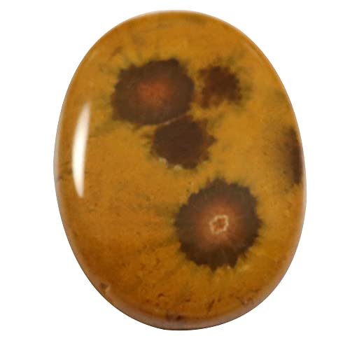 Jaspe Océan cabochon 18,2 carats pierre naturelle minéral de collection Qp94