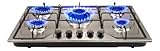 Parrilla a Gas 5 Quemadores Estufa Vidrio Templado Empotrable | Hierro Fundido, Encendido Eléctrico, Perillas Metalicas |...