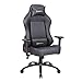 Newskill Akeron - Silla gaming profesional con marco de acero reforzado (sistema de balanceo, reclinable hasta 180 grados, reposabrazos 3D) - Color Negro
