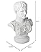 Design Toscano Augustus Caesar Primaporta Bust Statue, Classic Roman Library or Office Decor, 10 Inches Wide, 6 Inches Deep, 18 Inches High, Handcast Polyresin, Antique Stone Finish
