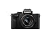 Panasonic LUMIX G100 4k Mirrorless Camera for Photo and Video
