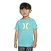 Hurley Boys' Rash Guard Shirt, Green/Icon, L