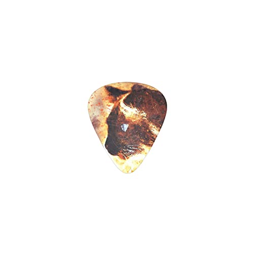 L fUCM^[sbN guitar pick eBAhbv^ GLM^[/AR[XeBbNM^[/NVbNM^[/x[X̗KɍœK12Zbg