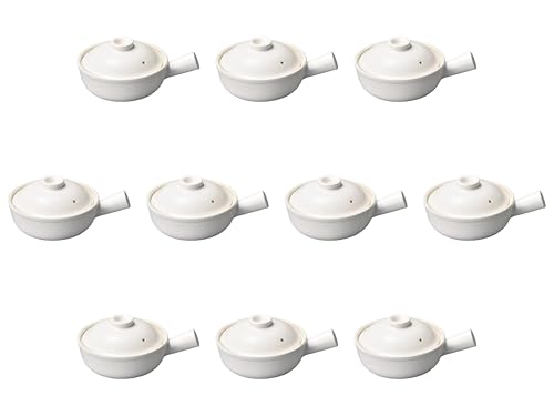 10Zbg ֕Ў [ 25.5×18.5×6.7p ] | O^M  Zgmz|(Setomonohonpo)