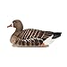 Avian-X Topflight Specklebelly Floating Goose Decoys with True to Life Postures for Hunting Use, Outdoor Sports, and Recreation, 12 Pack, Multi