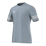 adidas Entrada 14 JSY, Camiseta para hombre, Gris (Silver/White), M, F50493