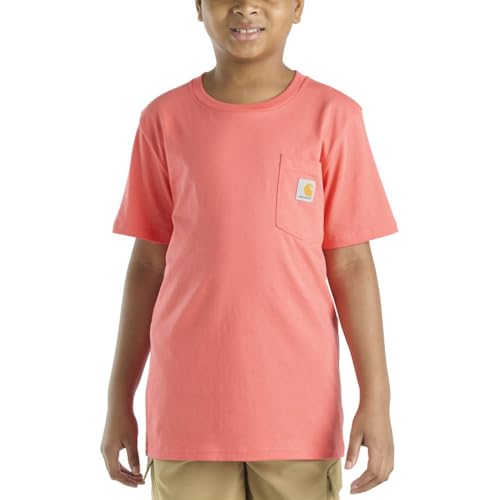 Carhartt Kids' Short Sleeve Pocket T-Shirt Tee Shirt, Dubarry Pink, 3T