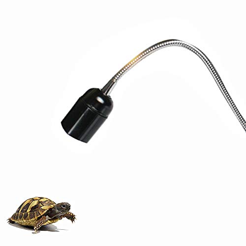 Éclairage neon aquarium Top 10 de 2023 Comparatif des Meilleurs