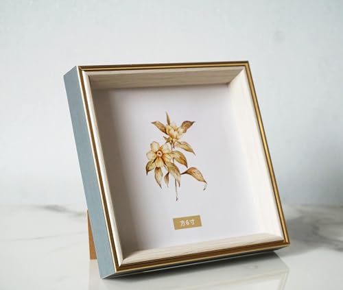 PLUSCHEN 6x6 Blue Beige Square Picture Frame 6x6 Resin Photo Frame Wall and Desktop Display Picture Frame Plexiglass