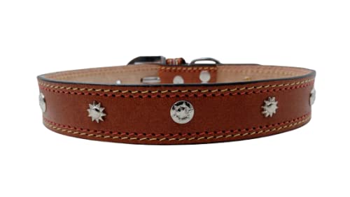 Forever99 Pet Shop Studded Leather Dog Collar Neck Belt for all stage breeds Large 18 to 21 inch neck for fit art#-27 (B09NGJ15QM) Amazon Price History, Amazon Price Tracker