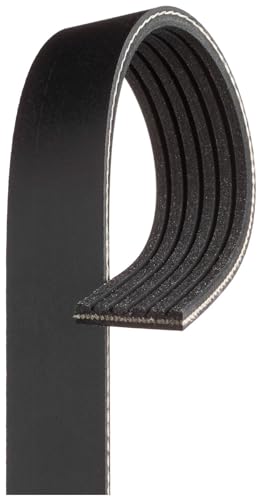 Courroie Poly-V GATES 6PK1120EST pour stopper les bruits de sifflement moteur