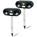 Cowiewie Utraschall - Ahuyentador de Gatos con energía Solar, hurón Impermeable, con Sensor de Movimiento PIR para el jardín, eficaz contra Gatos, Perros, Hurones (2 Unidades)
