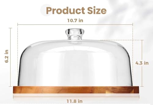 Image of MMTSWorld Wooden Cake Stand with Acrylic Dome, Round Cake Dessert Serving Tray Platter, Round Cake Cutting Holder, Cake Plate with Lid Serving Platter Tray Dessert Stand Cupcake Holder