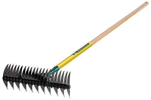 Leborgne, Scarificateur 32 Dents avec Manche, Modèle 460321, Outil de Jardinage en Acier, Idéal pour Aérer et Éliminer la Mousse du Gazon, Taille Pratique, Parfait pour les Jardiniers Passionnés