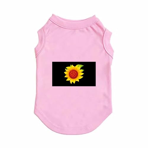 [XANPYO] ybg _炩 sVc  ^  ^Ngbv ̃ybg p 񂱕 ʋC U o z  sN M L 񂱗p ɂ񂱗p UoEFA