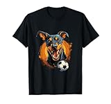 Deutscher Pinscher Soccer - Deutscher Pinscher