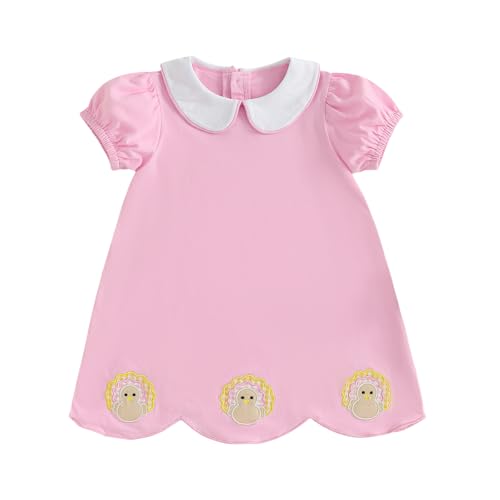 Kids Toddler Baby Girl Thanksgiving Outfit Turkey Embroidery Short Sleeve Peter Pan Collar Dress Clothes Fall