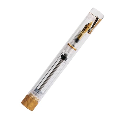 Stylo plume à piston transparent avec pointe fine pour écriture fluide au quotidien