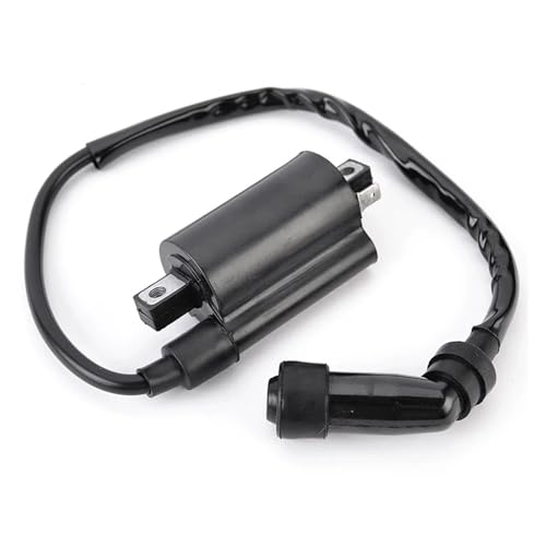 スカイウェイブ新品イグニッションコイル 31P6WZH-KcL.jpg