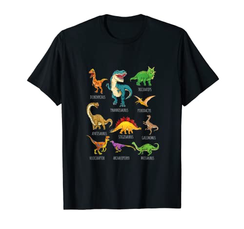 Dinosaur Types Graphics Dino T-Rex Boys dinossauro t-shirt, Preto, S
