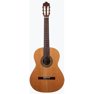 Prodipe Guitare classique à 6 cordes (RECITAL 200) - Les Beatles, Paul McCartney, John Lennon, RIngo Starr, George Harrison