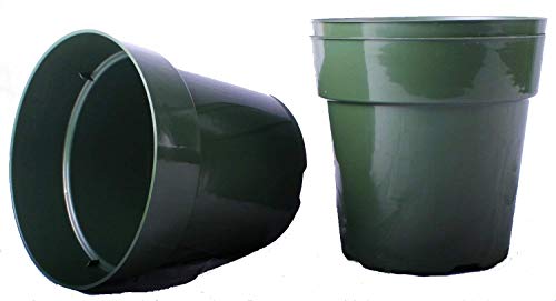 Seed Kingdom 20 New 6 Inch Standard Plastic Nursery Pots ~ Pots are 6 Inch Round at The Top and 5.6 Inch Deep (20 Pots, Green)