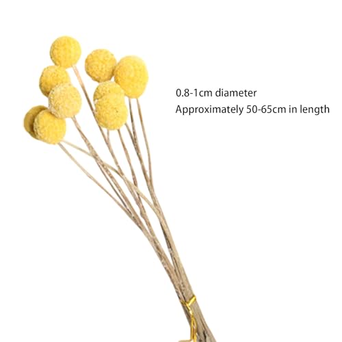 10 Flores Secas para Decoración Boho DIY miniatura 4