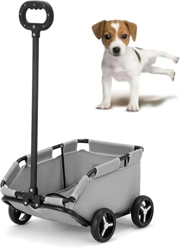 ^ELpybgpxr[J[ spybgpxr[J[ y ܂肽ݎ ybgpxr[J[ y ܂肽ݎ,D