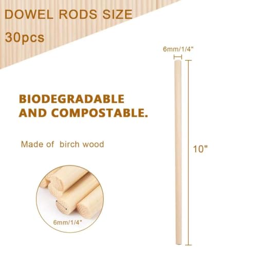 Image of Dowel Rods Wood Sticks Wooden Dowel Rods - 30PCS 10 Inchx6mm- for Crafts and DIYers (Birch Wood1 /4 Inch x 10 inch)