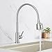 Produktbild HOMELODY Wasserhahn Küche 360° Schwenkbar nur Kaltwasser 2 strahlarten Kaltarmatur aus Edelstahl Küchenarmatur Einhand Wasserhahn Kalt Spülbeckenarmatur Gebürsteter Federhahn, Matt