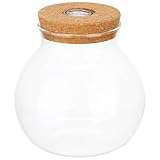 TIDTALEO Botella de Vidrio Luz LED Blanca para Terrario Micro Paisaje, Decoración Creativa del Hogar y Soporte para Plantas Suculentas