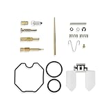 PZ30 Motorcycle Carburetor Repair Kit for KN HA CG200 CG200CC - Complete Rebuild Parts