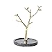 DQDL Espositore per Gioielli Stile Albero/Stand per Collana Braccialetti Portaoggetti per Gioielli/Appeso/Organizzatore