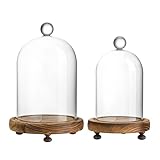 Pack 2 Clear Glass Dome with Wooden Base Glass Display Cloche Bell Shape Dome for Antique Collectibles Specimens Plants Dustproof Christmas Gift for Women