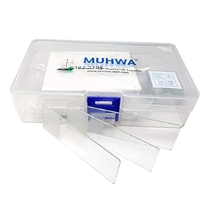 MUHWA Mikroskop-Objektträger Set, 50 Stück