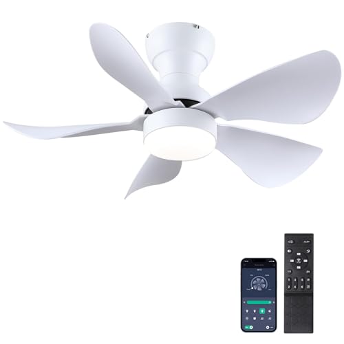 Ventilatore A Soffitto Moderno Con Luci LED E Telecomando, 5 Pale In Acciaio, 6 Velocità, 3 Temperature Colore, Silenzioso, Per Camera Da Letto E Soggiorno
